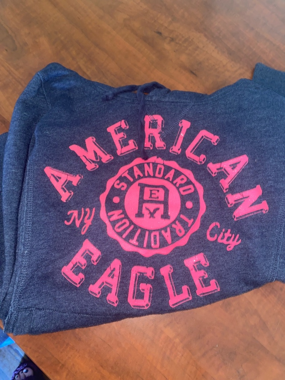 American Eagle Outfitters navy hoodie with pink logo